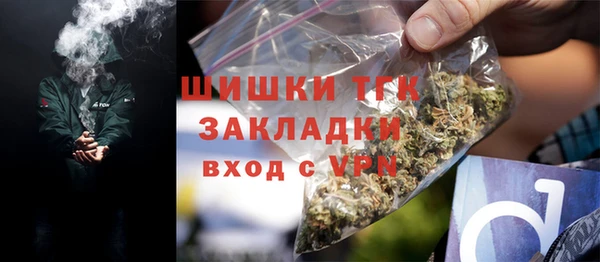 PSILOCYBIN Верхний Тагил