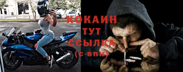 PSILOCYBIN Верхний Тагил