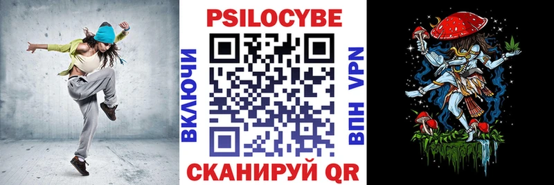 наркота  Хадыженск  блэк спрут tor  Псилоцибиновые грибы GOLDEN TEACHER 