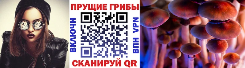 Псилоцибиновые грибы прущие грибы Хадыженск
